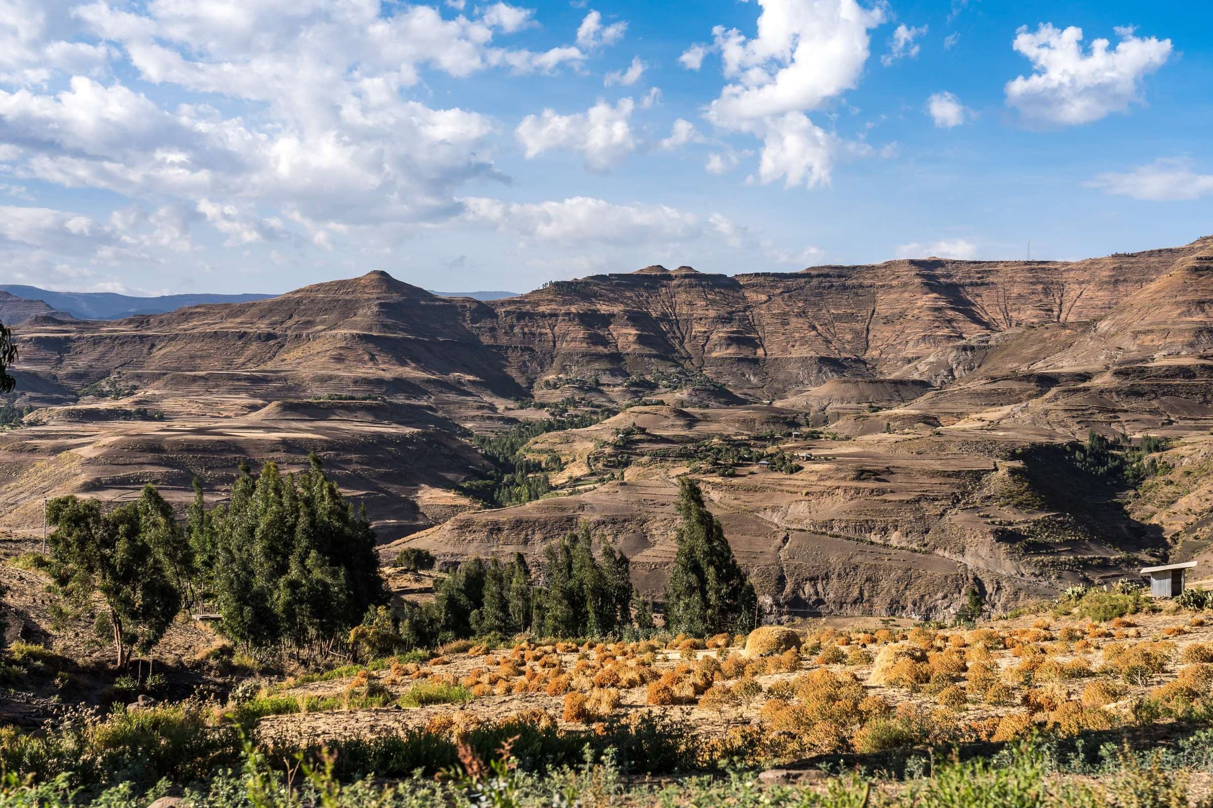 Ethiopia landscape