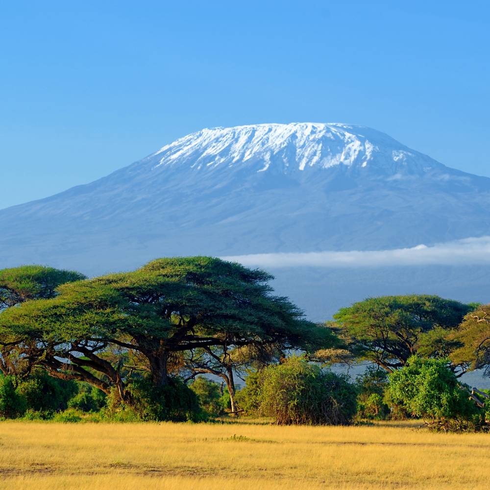 kilimanjaro-on-african-savannah-2025-03-25-12-58-24-utc